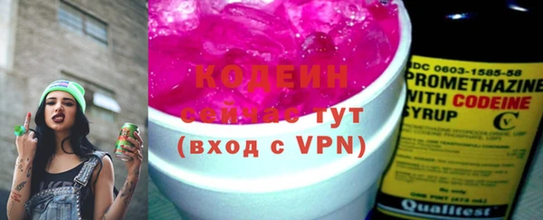 гашик Ладушкин