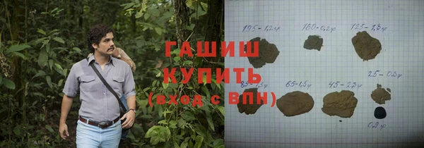 гашик Ладушкин