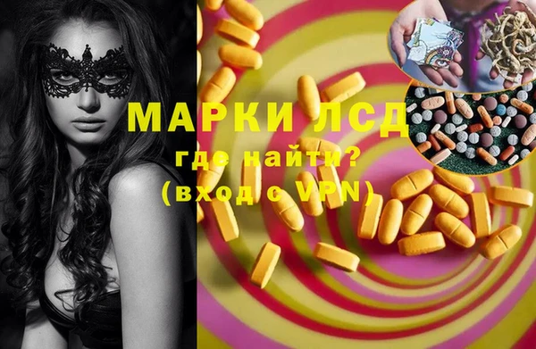 гашик Ладушкин