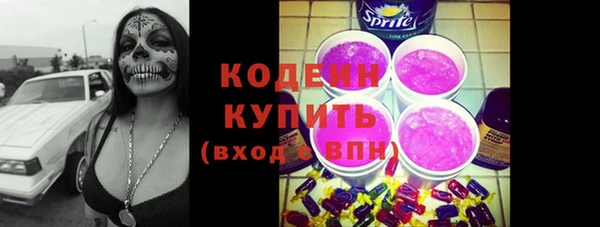 гашик Ладушкин