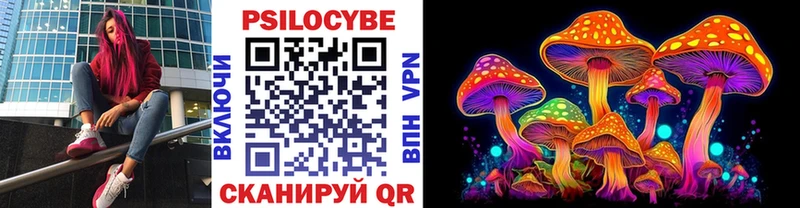 Псилоцибиновые грибы Psilocybine cubensis  Купить  Пыть-Ях 
