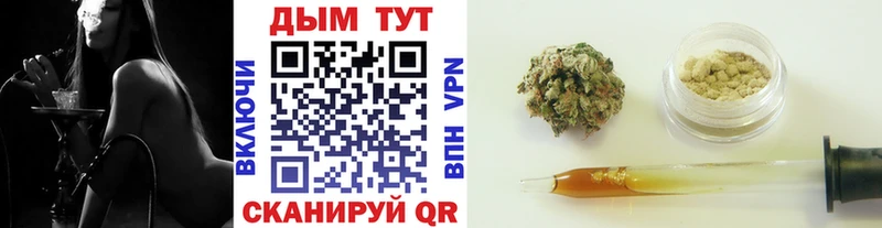 Купить  Пыть-Ях  Бошки Шишки сатива 